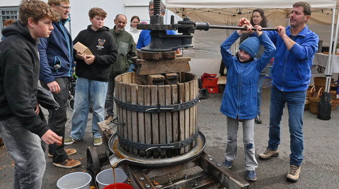 So enden die meisten Äpfel: Als Saft, wie hier der Mössinger Nabu beim Schaumosten demonstriert.
