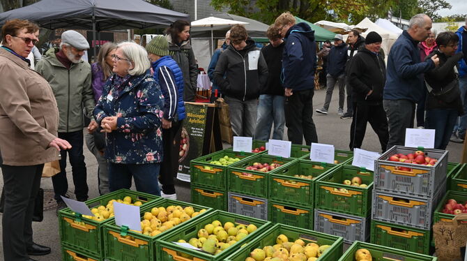 In Mössingen gab's Obst in Reinform und in allen Varianten.