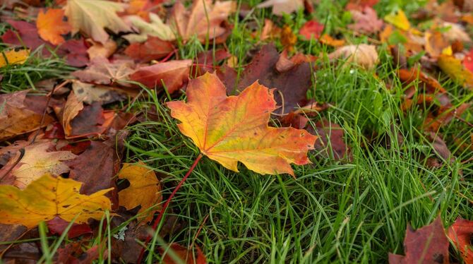Wetter in Baden-Württemberg Wetter in Baden-Württemberg