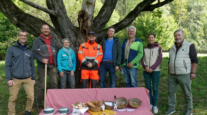 Dettingen Walnüsse Sie engagieren sich für den Obstbau und Walnüsse im Streuobstparadies und in Dettingen, (von links) Thilo Tschersich, Simon Walc