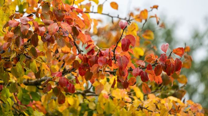 Wetter in Baden-Württemberg