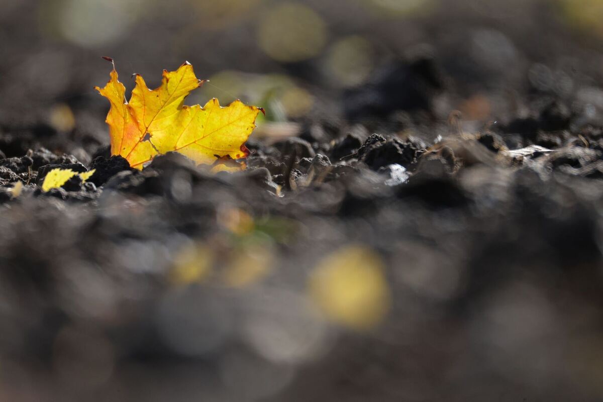 Wetter in Baden-Württemberg