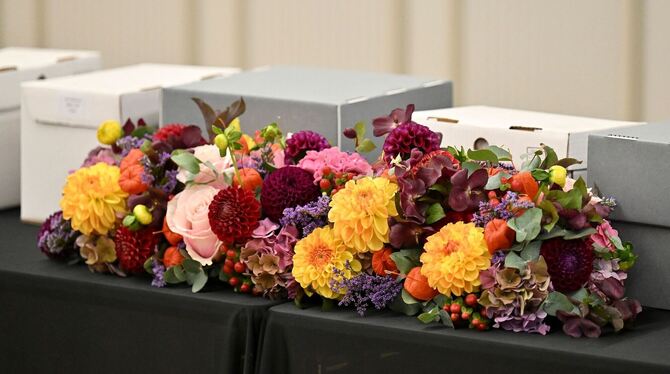 Rückgabe menschlicher Gebeine an die Republik Marshallinseln Rückgabe menschlicher Gebeine an die Republik Marshallinseln