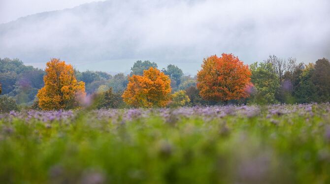Wetter in Baden-Württemberg Wetter in Baden-Württemberg