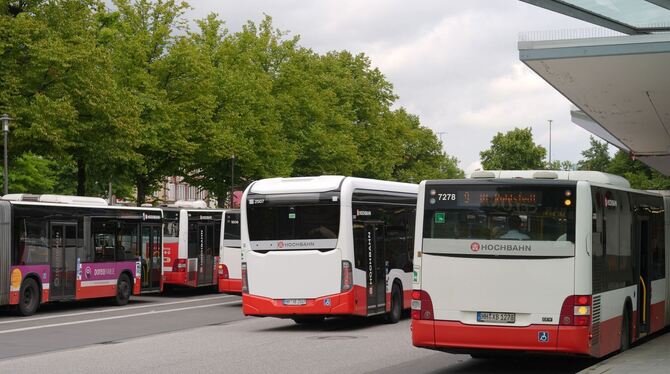 Linienbusse Linienbusse