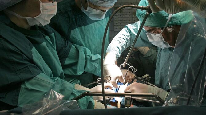 Schweineleber in lebenden Menschen transplantiert Schweineleber in lebenden Menschen transplantiert