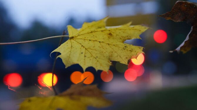 Wetter in Baden-Württemberg