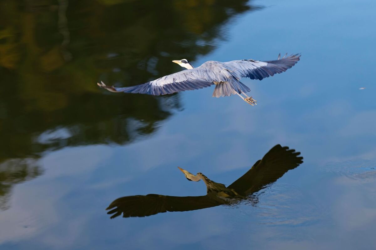 Herbst in Baden-Württemberg - Wetter Herbst in Baden-Württemberg - Wetter