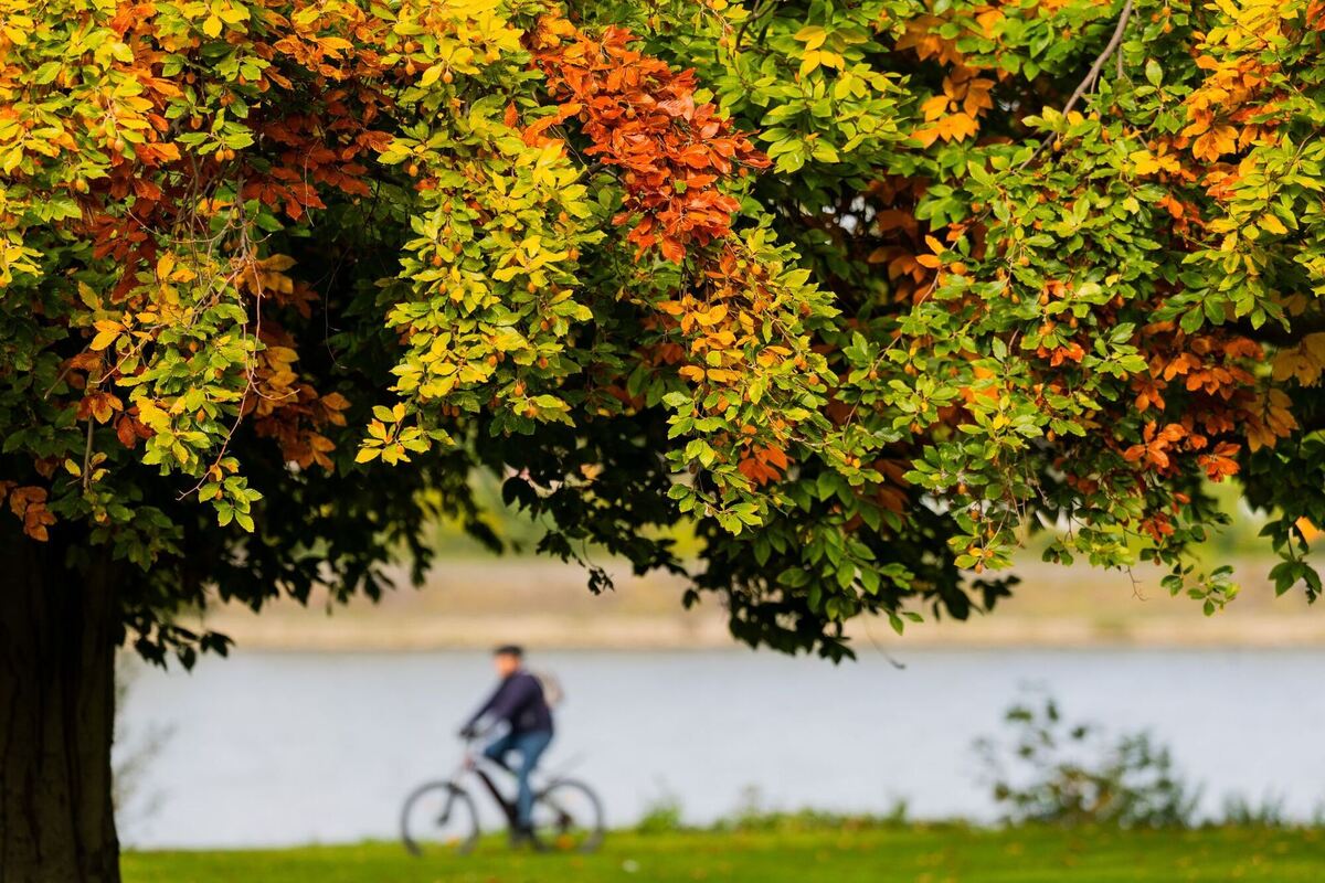 Herbst in Köln Herbst in Köln