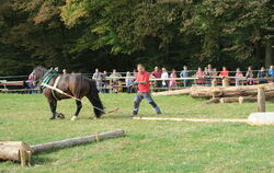 Norbert Wiest und sein Pferd Nelmar haben 2023 auf dem Holzrückeparcours in Pliezhausen ihr Können gezeigt. Am Sonntag treten wi