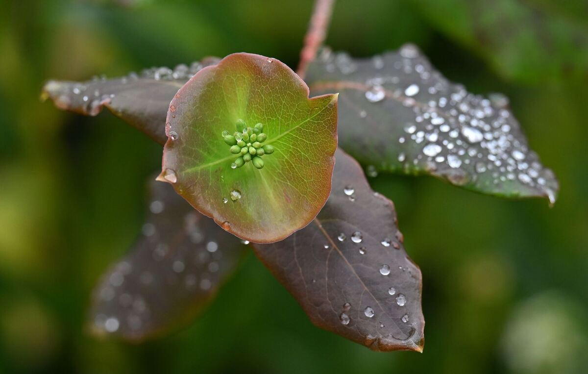 Wetter in Thüringen Wetter in Thüringen