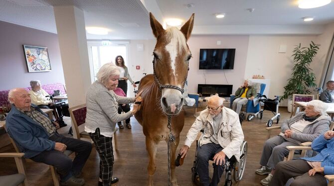 Mit dem Pferd ins Altenheim Mit dem Pferd ins Altenheim