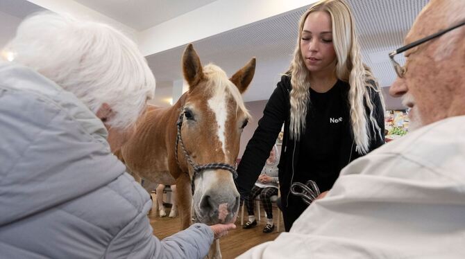 Mit dem Pferd ins Altenheim Mit dem Pferd ins Altenheim