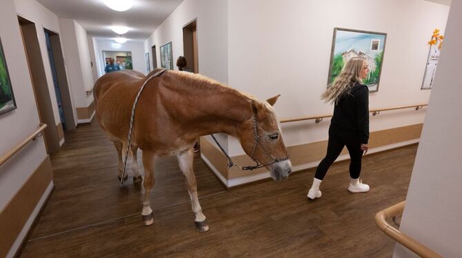 Mit dem Pferd ins Altenheim Mit dem Pferd ins Altenheim