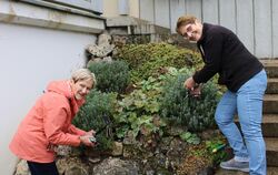 Gabriele Frank (links) und Iris Feus pflegen den Hang am Freibad Honau