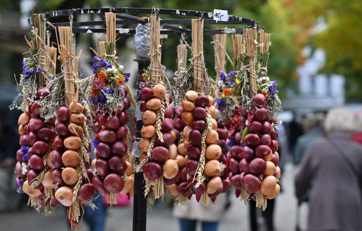Weimarer Zwiebelmarkt