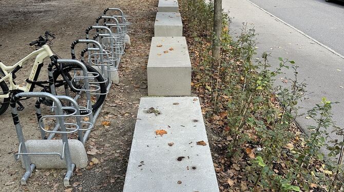 Betonklötze Albtorplatz Die Betonklötze auf dem Albtorplatz sollen vor Anschlägen schützen.