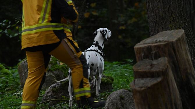 Polizei sucht nach Achtjährigem aus Güstrow Polizei sucht nach Achtjährigem aus Güstrow