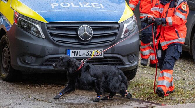 Fortsetzung der Suche nach Achtjährigem aus Güstrow Fortsetzung der Suche nach Achtjährigem aus Güstrow