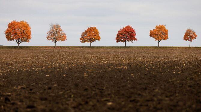 Wetter in Baden-Württemberg