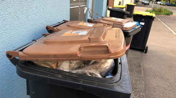 Eine Plastiktüte in der Biomüll-Tonne: Das Reutlinger Entsorgungsunternehmen TBR möchte solche Fehlwürfe den Bürgern nach und na