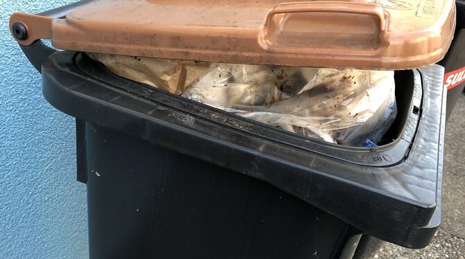 Fehl- oder Fremdwurf? Das ist bei den öffentlich zugänglich an die Straße gestellten Tonnen schwer zu sagen. Fest steht: Plastik