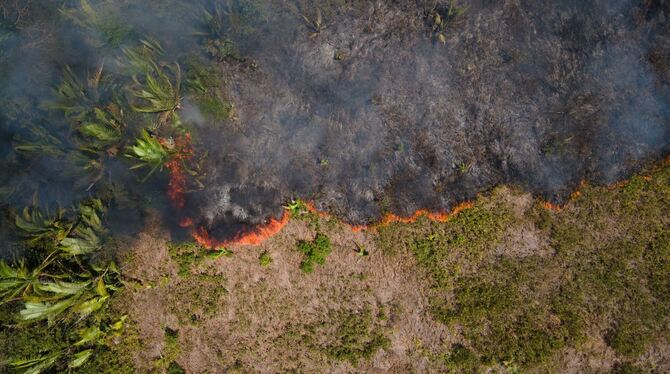 Feuer im Amazonas-Gebiet Feuer im Amazonas-Gebiet