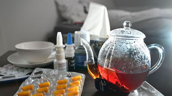 Grippe und Erkältung Grippe und Erkältung