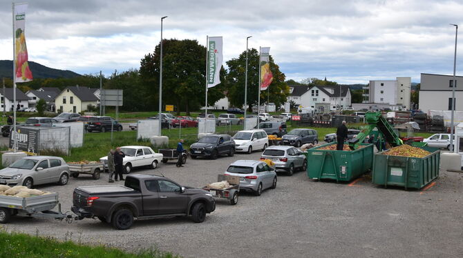Obstabgabe im Mega-Stau: Eine halbkilometerlange Autoschlange mit Wartezeiten von bis zu vier Stunden in Mössingen