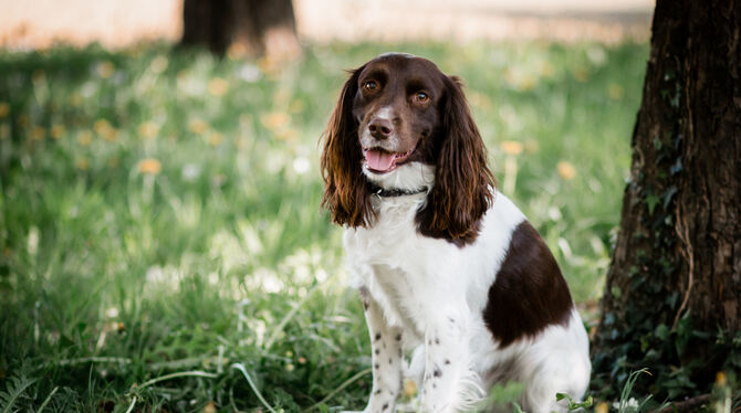 Mosby kann seinen ersten »Arbeitstag« kaum erwarten.