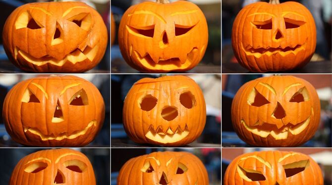 Populärer Pumpkin: Der kolossale Kürbis-Boom Populärer Pumpkin: Der kolossale Kürbis-Boom