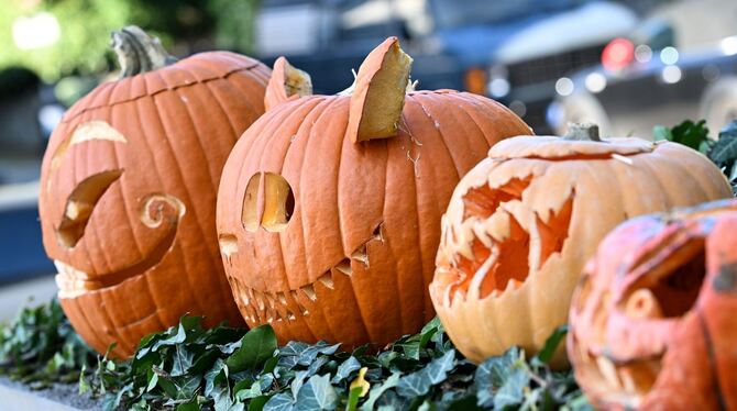 Halloween-Kürbisse Halloween-Kürbisse