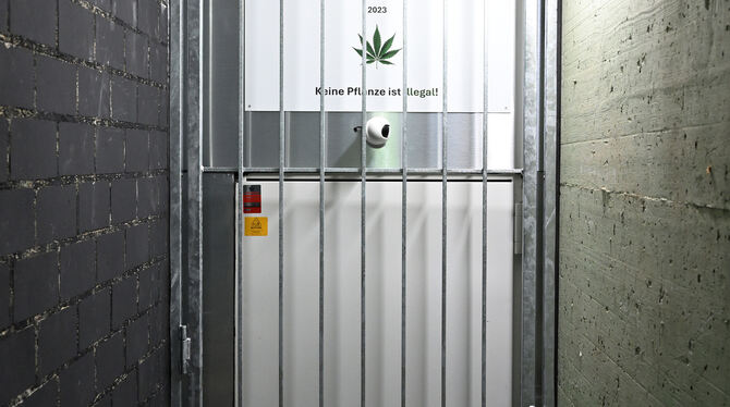 Cannabis Der Gesetzgeber verlangt gut gesichtere Zugänglichkeit.