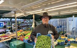 Marktbeschicker Martin Frech präsentiert seinen Ackersalat.