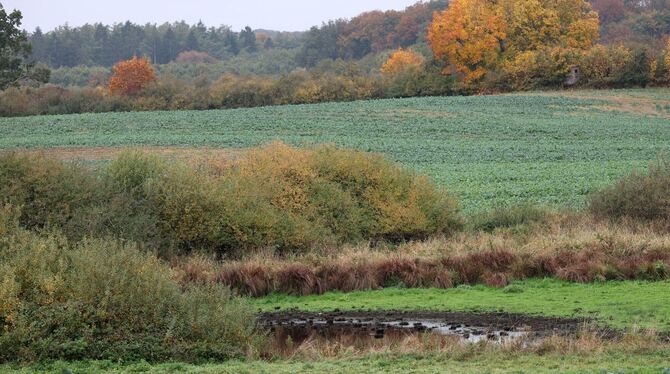 Nach dem Fund einer Kinderleiche Nach dem Fund einer Kinderleiche