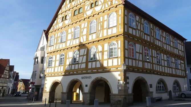 Nackter Mann Ein nackter und aggressiver Mann in der Neuffener Ortsmitte sorgte bundesweit für Schlagzeilen.