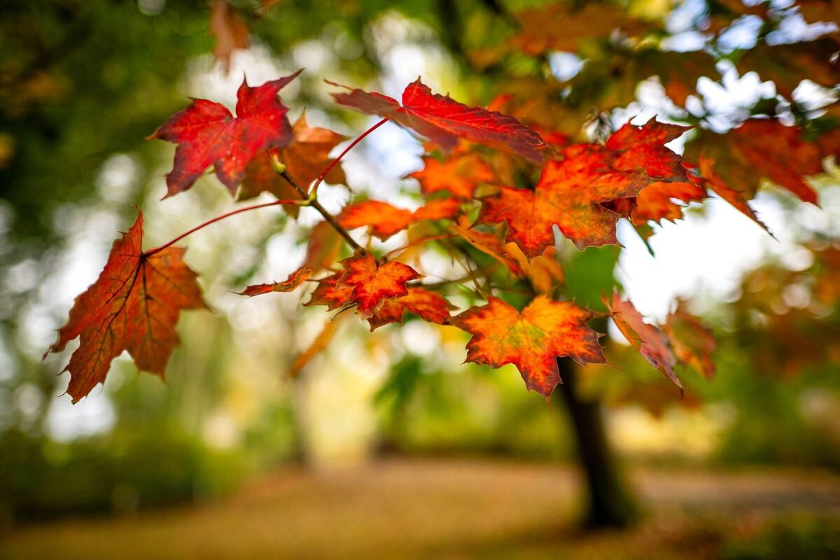 Wetter in Ostfriesland Wetter in Ostfriesland