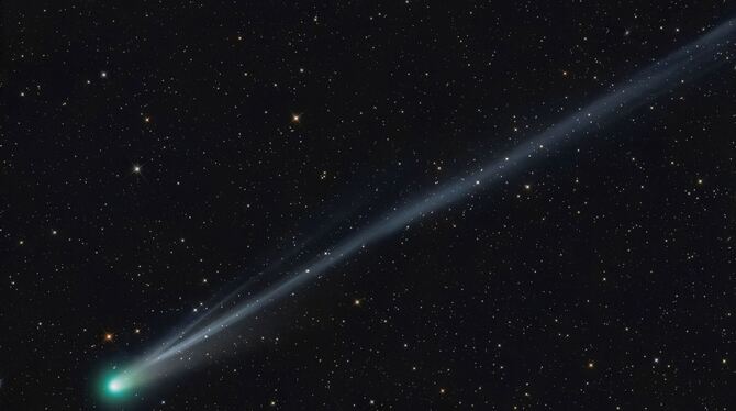 Komet »Lemmon« am Nachthimmel zu sehen