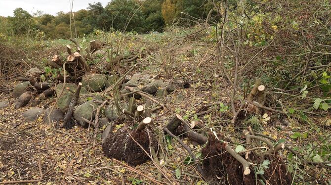 Nach Fund einer Kinderleiche Nach Fund einer Kinderleiche
