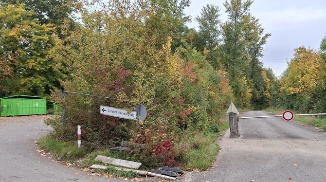 An der stillgelegten Erddeponie Eichberg, an der nur noch ein Häckselplatz geöffnet hat, vorbei führt der Waldweg (rechts), auf
