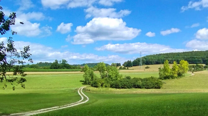 Uralter Weg von Kloster Offenhausen über Zizelhausen nach Gächingen. Sehr wahrscheinlich schon uralt ist der Weg von Kloster Offenhausen über Zizelhausen auf der Anhöhe nach Gächingen.
