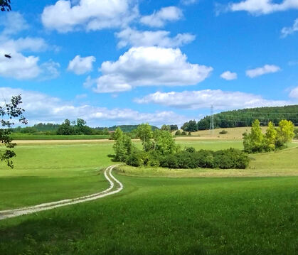 Sehr wahrscheinlich schon uralt ist der Weg von Kloster Offenhausen über Zizelhausen auf der Anhöhe nach Gächingen.