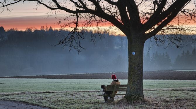 Natur Auf der Gemarkung von Pliezhausen gibt es noch viel Natur, die geschützt werden soll.