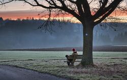 Auf der Gemarkung von Pliezhausen gibt es noch viel Natur, die geschützt werden soll.