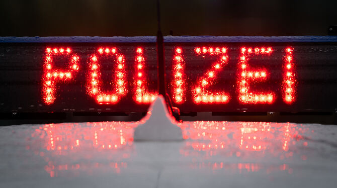 In Dettingen quälte ein Unbekannter einen Kater zu Tode. Die Polizei ermittelt.