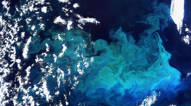 Weniger Plankton durch wärmere Ozeane