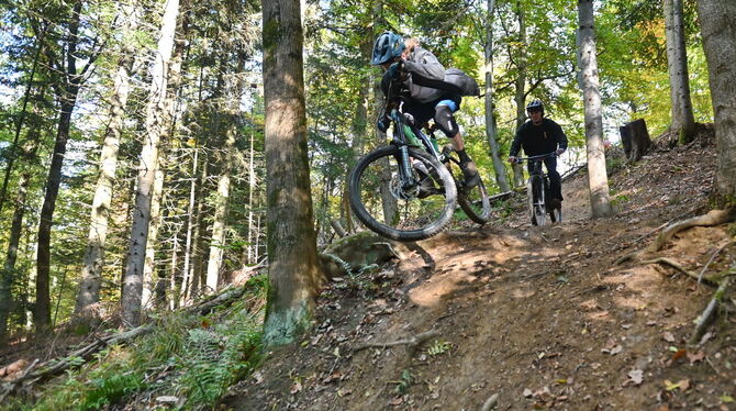 Mountainbike-Trail Firstwald Im Mössinger Firstwald brettern jetzt die Mountainbiker den Hang hinunter