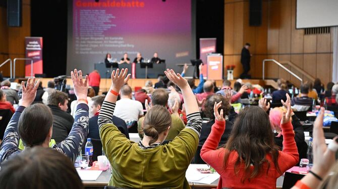 Landesparteitag Die Linke Baden-Württemberg
