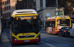 In etwas mehr als 1.200 Fällen wurden Passagiere in Tübingen voriges Jahr ohne Fahrschein erwischt.