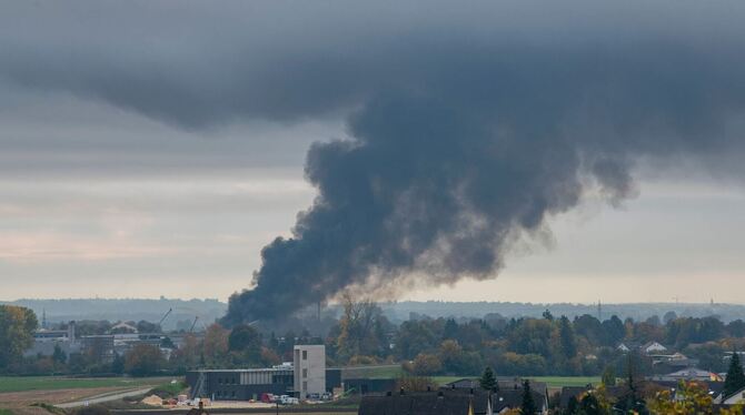 Sortieranlage in Brand Sortieranlage in Brand